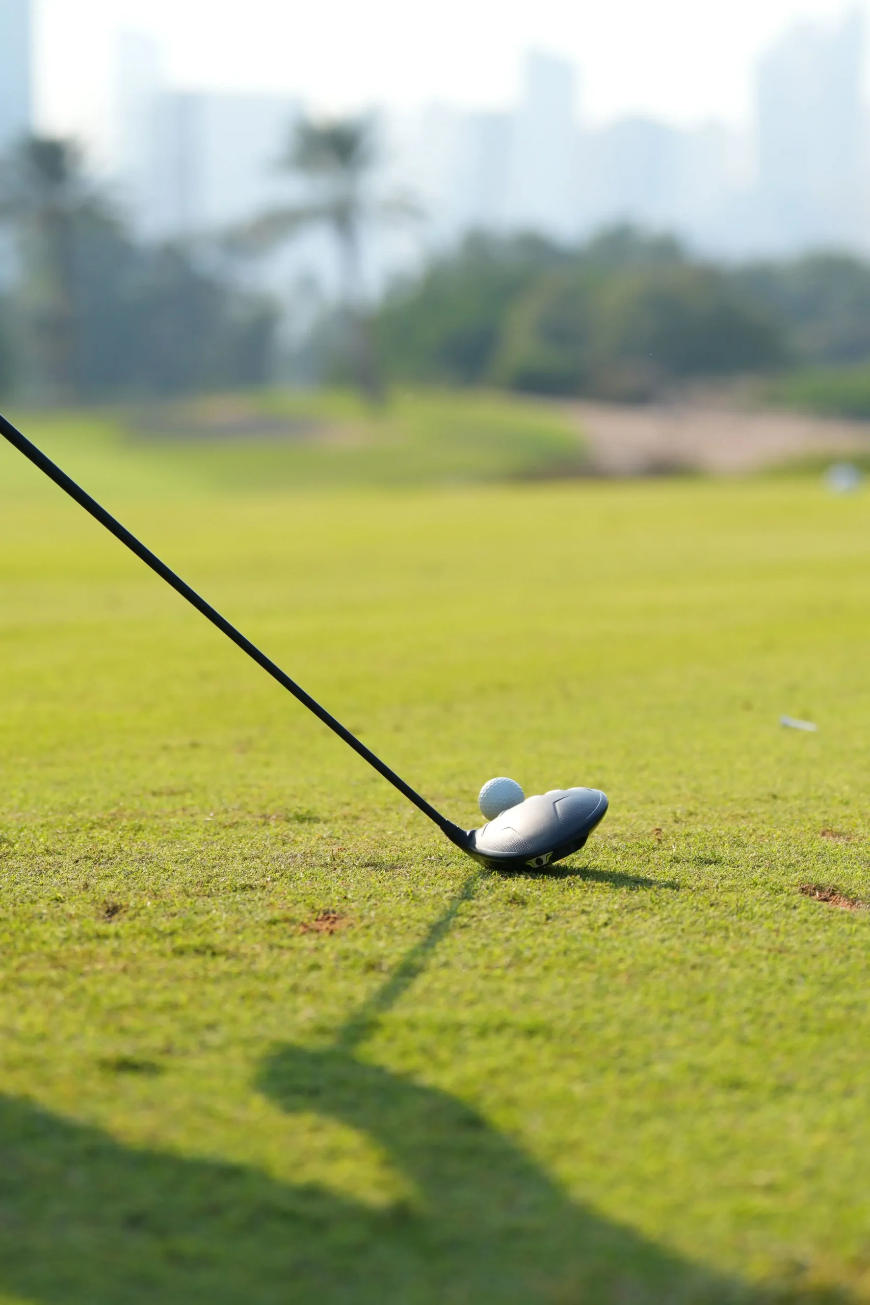 golf-2